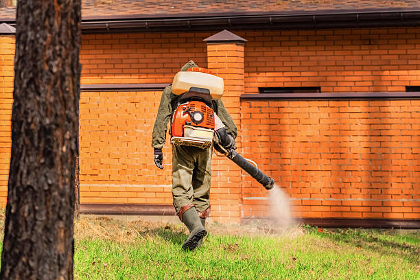Bed Bug Clearance Verification and Documentation in Edgemere